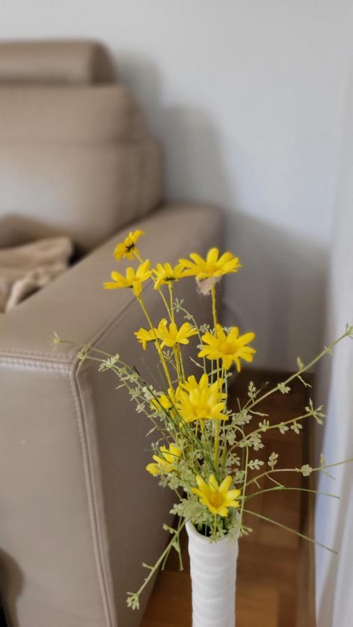 Apartament Julietta ชวีโนวิชแจ ภายนอก รูปภาพ